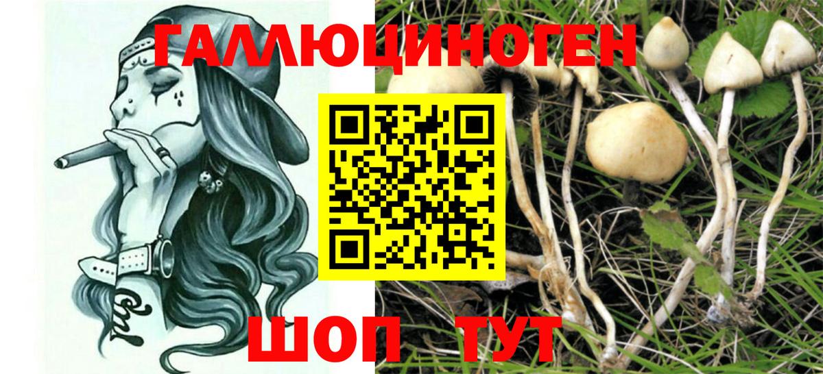 Псилоцибиновые грибы MAGIC MUSHROOMS  Галлюциногенные грибы Psilocybine cubensis  Мегион  Вход с VPN 